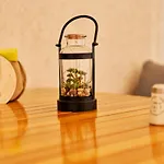 아파트 Povesti La Mare